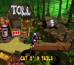 File:Cat O' 9 Tails DKC2 ending.png