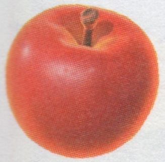 File:DKB Apple art.png