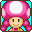 MPA Toadette Icon.png