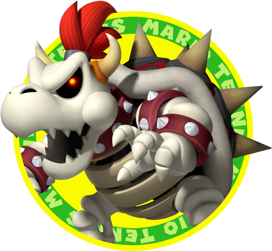 File:DryBowserMTO.png