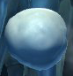 File:Snowball DKCTF.png