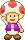 SMA Toad Character Select Sprite.png