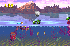 File:Tidal Trouble GBA Bear Coin.png