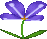 PM Spinning Flower.png