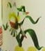 Fink Flower
