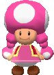 File:ToadetteMP6.png