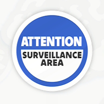 File:MKWSticker 30-24.png