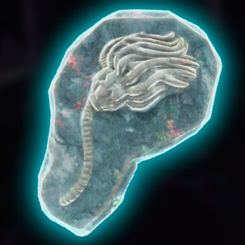 File:DKB Fossil Sea Lily Alt.png