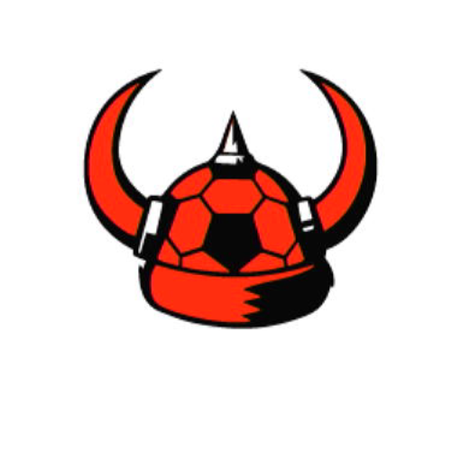 File:NSO MSBL June 2022 Week 2 - Character - Viking Hat Team Icon.png