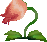 Bulb Bush.png