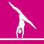 File:M&S2012 Gymnastics Icon.png