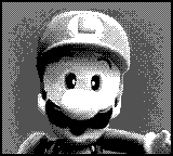 File:Game Boy Camera Doodle Luigi.png