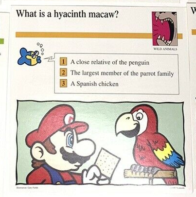 File:Hyacinth macaw quiz card.jpg