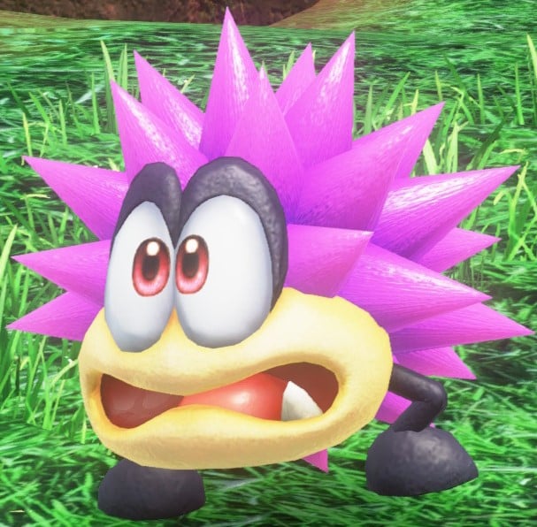 File:SMO Pink Burrbo.jpg