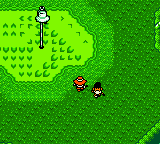 Raven Woods Golf Course from the Game Boy Color Mario Golf