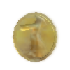 A Coin in Wario World