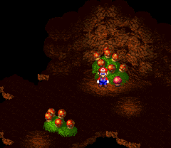 Tenth Mushroom/Amanita in Forest Maze of Super Mario RPG: Legend of the Seven Stars.