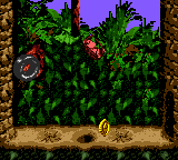 Candy's Challenge in Kongo Jungle in the Game Boy Color version of Donkey Kong Country