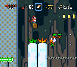 A screenshot of Mario traversing Valley of Bowser 3.