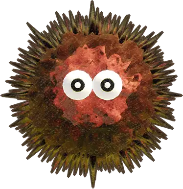 File:YATMB Urchin creature artwork.png