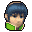 A stock icon from Super Smash Bros. Brawl