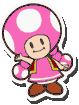 File:ToadetteMPAintro.png