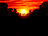 Congo Jungle