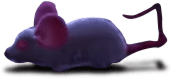 Artwork of a mouse from Luigi's Mansion 3