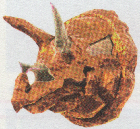 File:DKB Fossil art.png