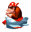 Funky Kong