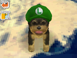 File:Nintendogs Luigi Hat.png