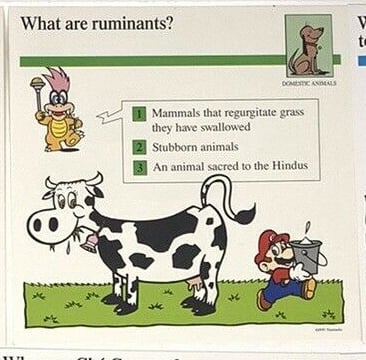 File:Ruminants quiz card.jpg