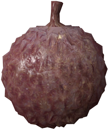 File:Lychee (DKJB).png
