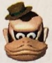 Uncle Kong's head as seen in the Super Donkey Kong 2 Guide Book