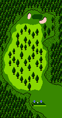 In-game map of a hole in Golf: Professional Course
