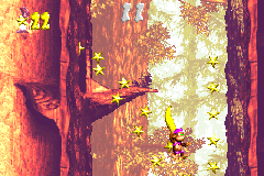 Dixie Kong collecting stars in the second Bonus Level of Springin' Spiders in the Game Boy Advance remake
