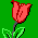 File:Tulip from the Aalsmeer Flower Market MIMDOS.png