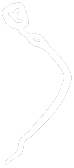 File:Crown City - Koopa Troopa Beach pre v1.4.0.png