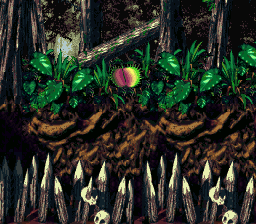 File:Jungle (DKC2).png