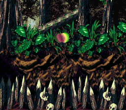 File:Jungle (DKC2).png - Super Mario Wiki, the Mario encyclopedia