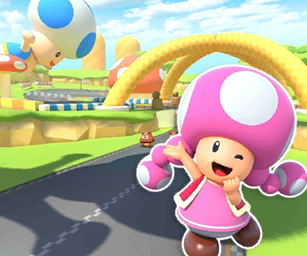 File:MKT Icon ToadCircuitR3DS Toadette.png
