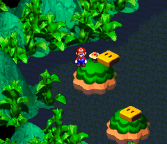 Flower found in the first scene of Rose Way of Super Mario RPG: Legend of the Seven Stars.