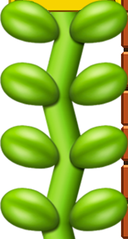 SMM3DS Art - Vine.png