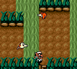 Wario Land 2: Birds