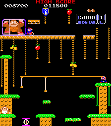 The second stage in Donkey Kong Jr.