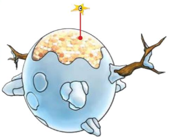 File:SMGYukkina Body Planetmap.png