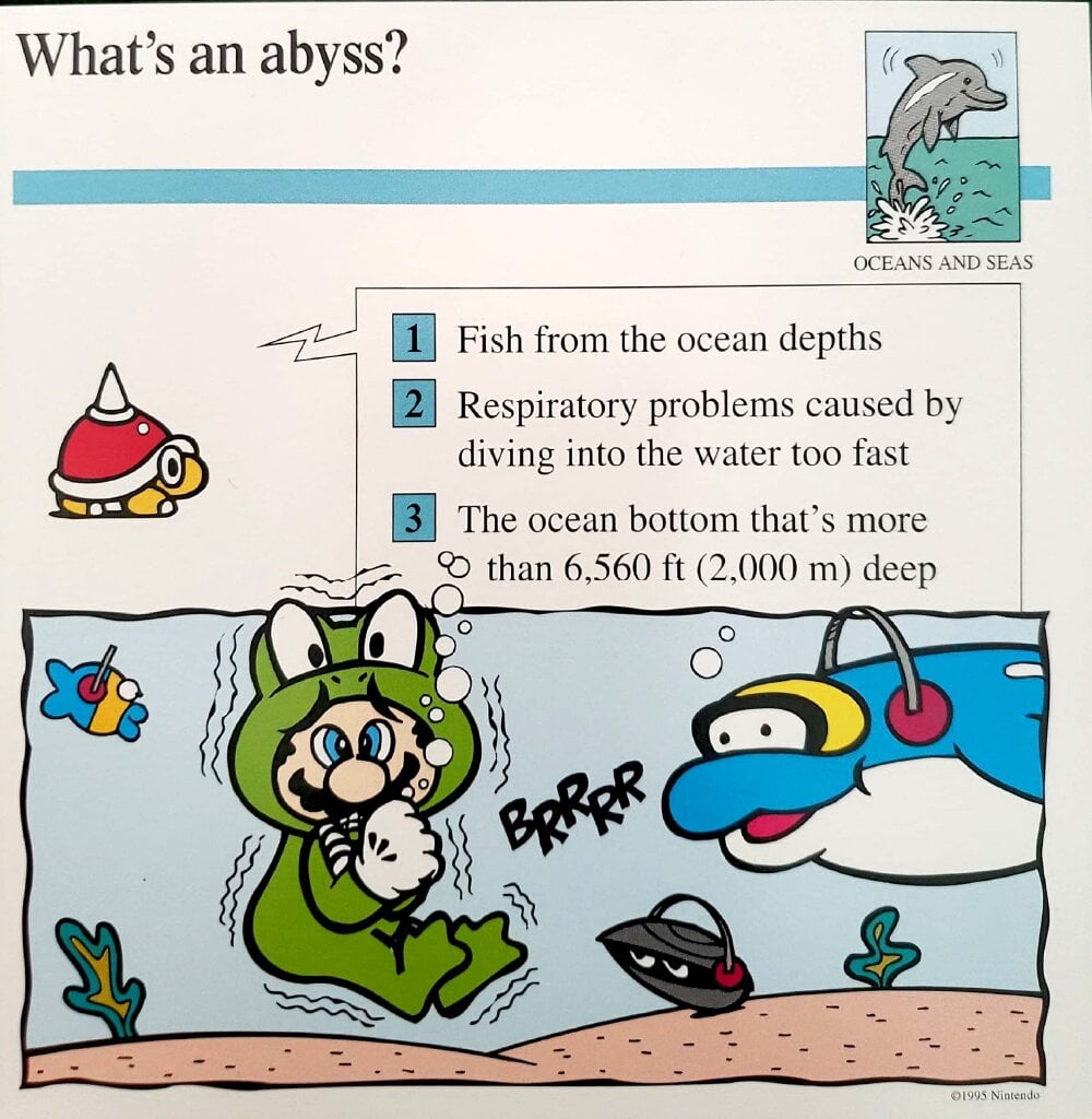 File Abyss Quiz Card Jpg Super Mario Wiki The Mario Encyclopedia