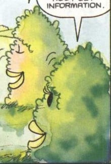 File:NCS Shrubs.jpg