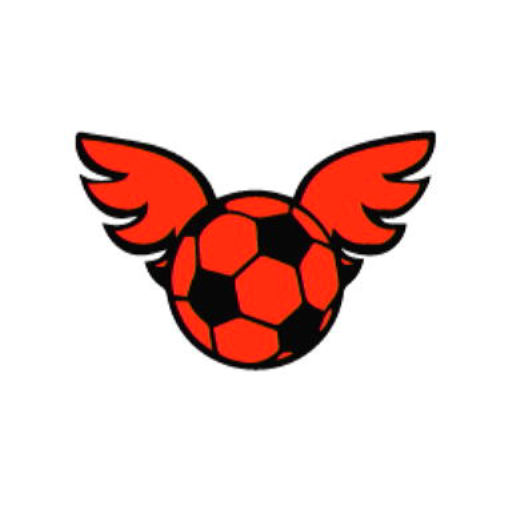 File:NSO MSBL June 2022 Week 4 - Character - Soccer Ball with Wings Team Icon.png