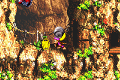 Dixie Kong holding a Steel Barrel at the Koin of Cliffside Blast in Donkey Kong Country 3 for Game Boy Advance